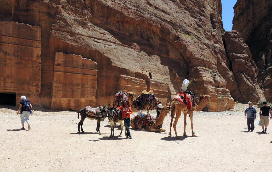 camels14.jpg