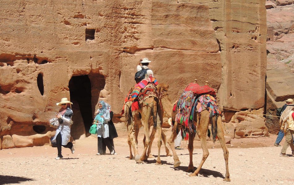 camels5.jpg