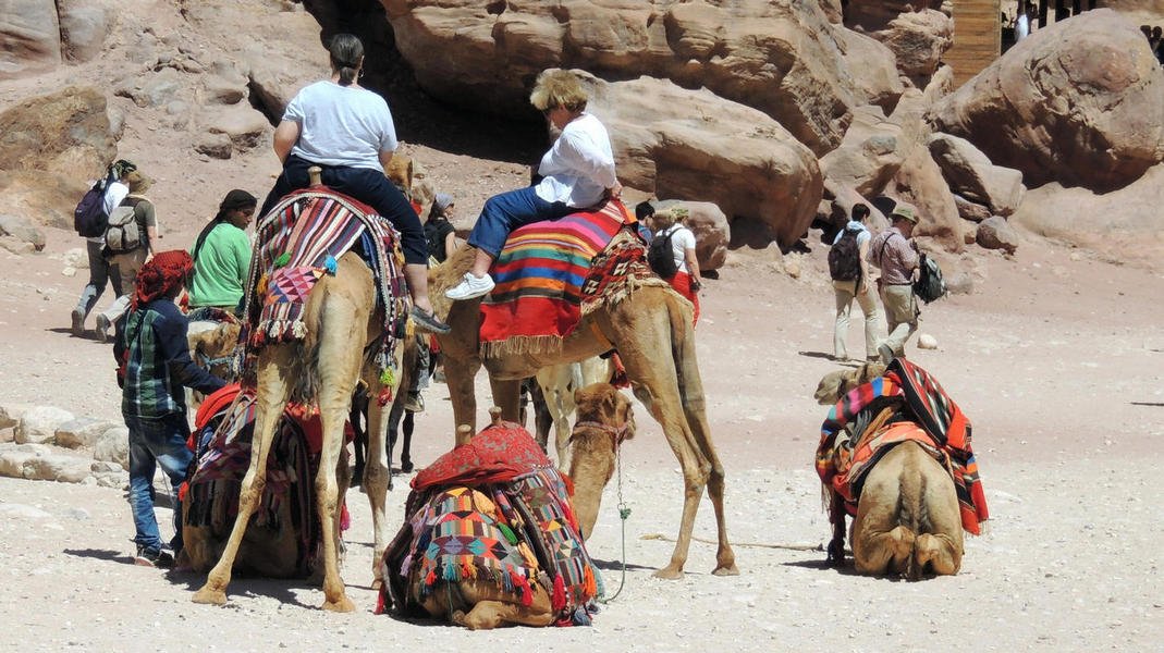 camels7.jpg