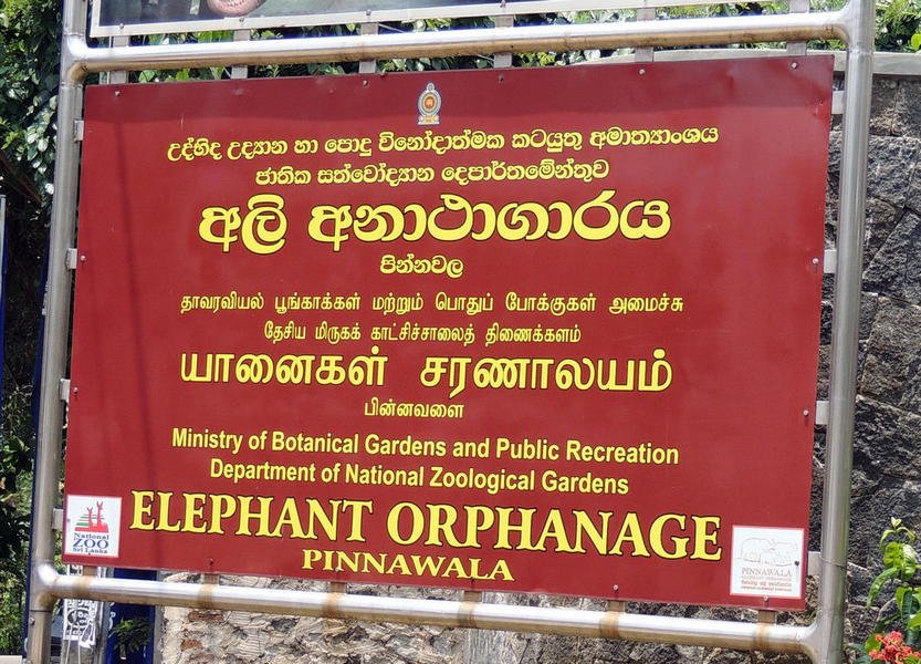 elephantorphanagetour4.jpg
